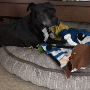 Meet your Posher, Flora